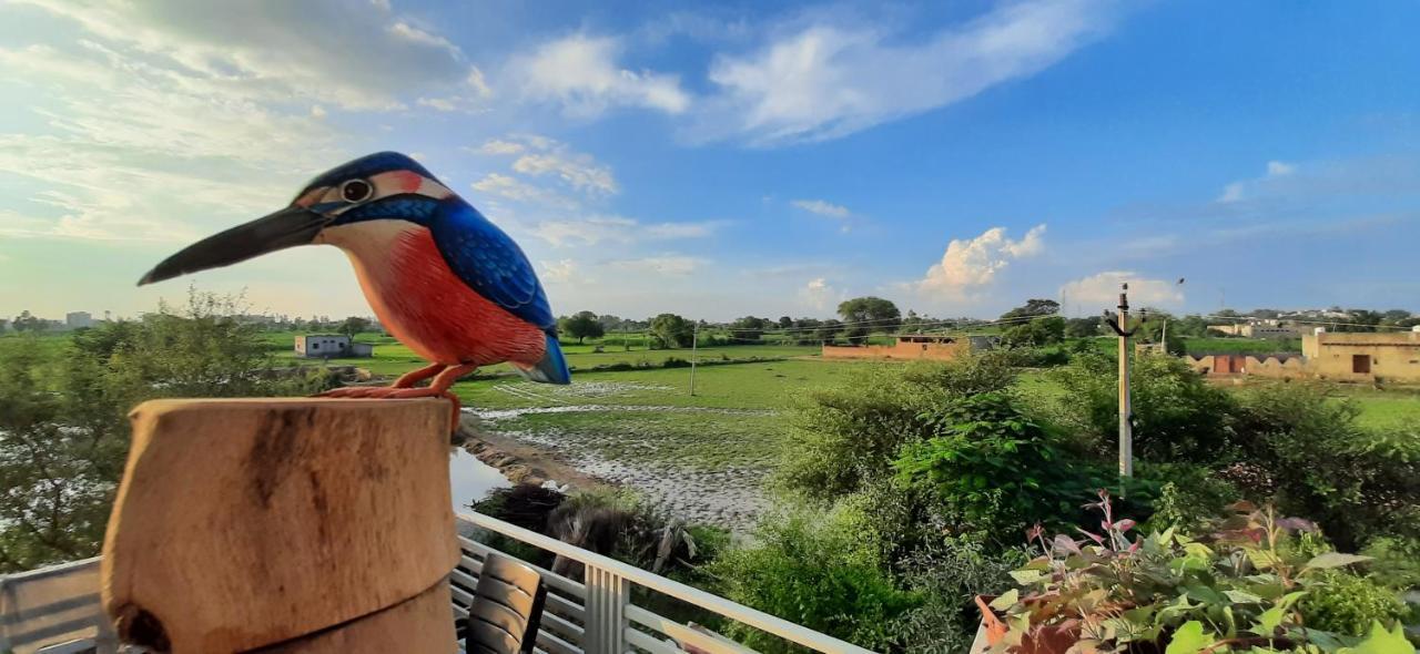 Ibishouse Farm Stay ภารัตปูร์ ภายนอก รูปภาพ