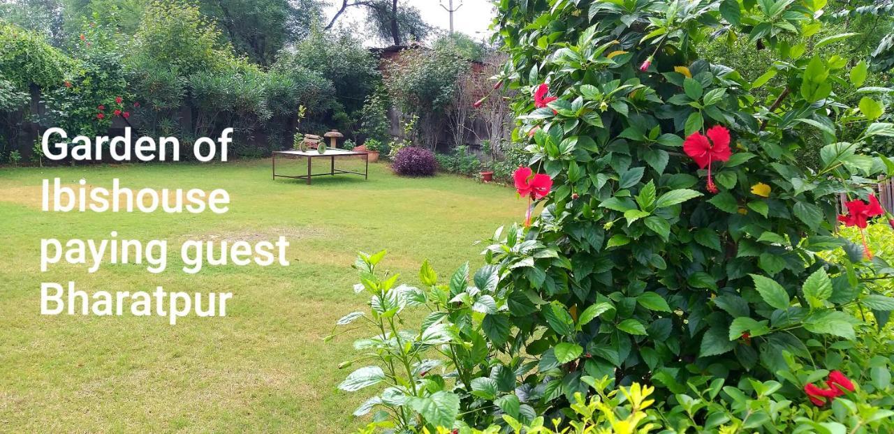 Ibishouse Farm Stay ภารัตปูร์ ภายนอก รูปภาพ