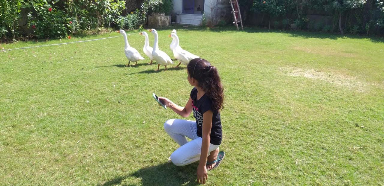 Ibishouse Farm Stay ภารัตปูร์ ภายนอก รูปภาพ